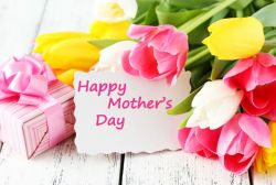 Mother's Day - Family Picnic (Past)