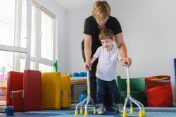 Neurological Support Neurological Support