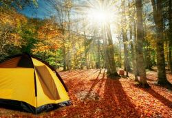 Camping Adventure (Past)