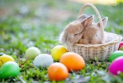 Family Fun Day - Easter Picnic (Past)