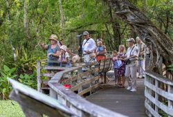 Everglades tour (Past)