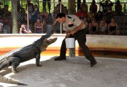 Everglades tour (Past)