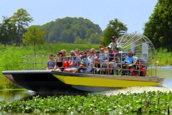 Everglades tour