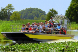 Everglades tour (Past)