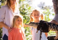 Everglades tour (Past)