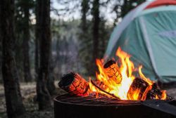 Family camping Florida Springs 4-6 October (Past)