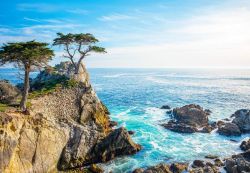 California tour