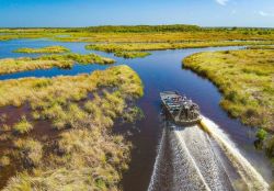 Everglades Adventure for kids