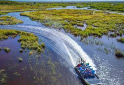 Everglades Adventure for kids