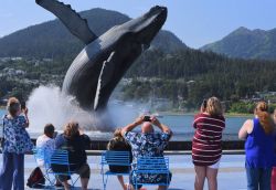 Alaska Family Cruise 2023 (Past)