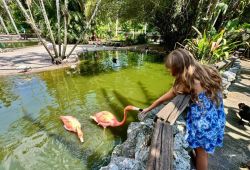 Flamingo Gardens (Past)
