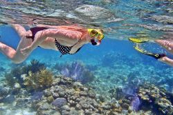 Family Club Snorkeling