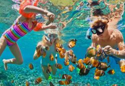 Family snorkeling