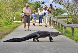 Excursions for children and adults
