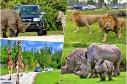 Excursions for children and adults