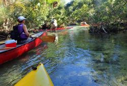 Семейный кемпинг на источниках 21-23 Марта (Прошедшие)