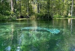 Family camping with tents