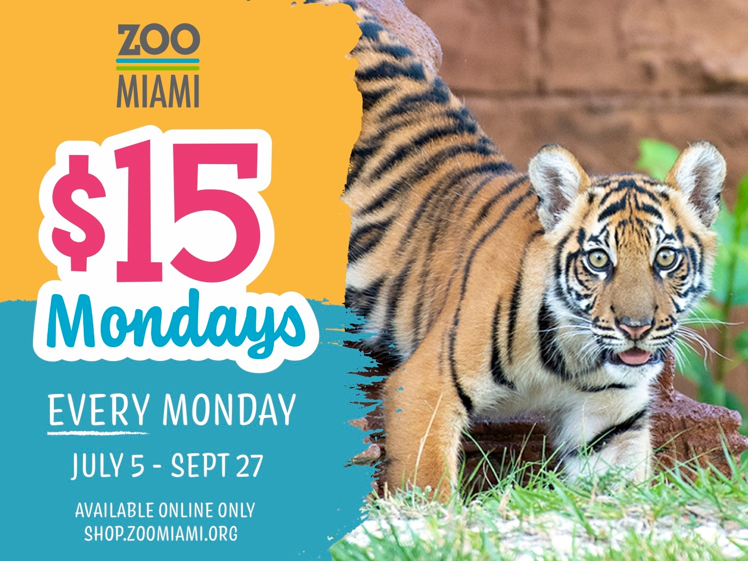 Miami Family Club - Summer special Miami Zoo